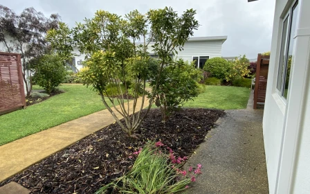 papamoa-beach-village-metlifecare-villa-surrounded-by-beautiful-gardens-copy-copy-32362